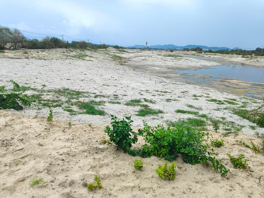 陵水县老田溪入海口微地形改造与鸟类栖息地构建工程项目砂石土再次转让(国资监测编号GR2026HI1001227)