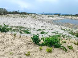 陵水县老田溪入海口微地形改造与鸟类栖息地构建工程项目砂石土再次转让(国资监测编号GR2026HI1001227)
