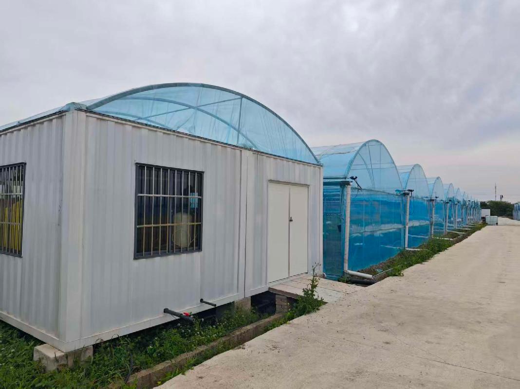 芜湖市湾沚区陶辛镇四门村1处连栋蔬菜大棚配套设施及周边约24亩土地经营权出租公告-e交易农村产权交易平台