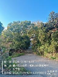 【中石化郴州分公司】郴州市苏仙区卜里坪一处场地招租(二次挂牌)(国资监测编号GR2026HN1000990-2)
