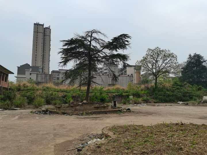【中石化张家界分公司】张家界市慈利县零阳西路白云油库场地(国资监测编号GR2026HN1000987)