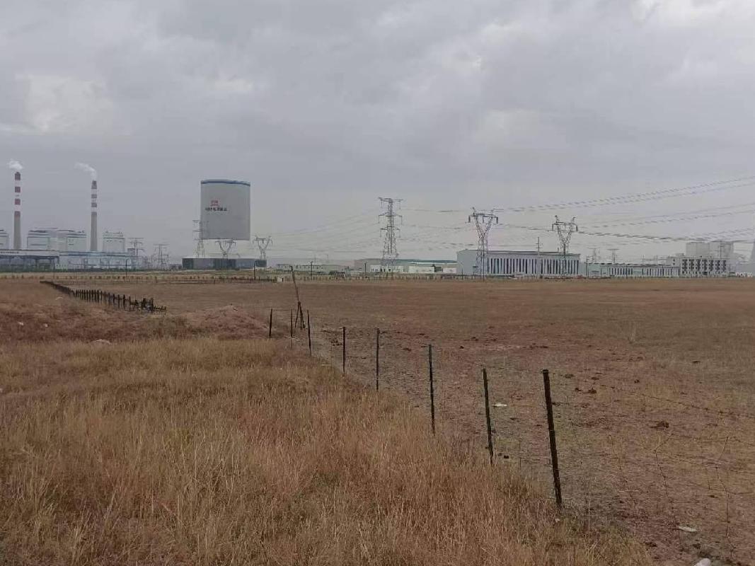 锡林浩特市沃原奶牛场约8000亩打草场整体出租（年租金底价25元/亩，租期一年）(国资监测编号GR2026NM1001991)