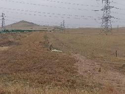 锡林浩特市沃原奶牛场约8000亩打草场整体出租（年租金底价25元/亩，租期一年）(国资监测编号GR2026NM1001991)