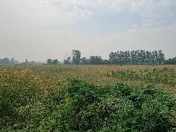 芜湖市鸠江区白茆镇莲花套约215亩土地经营权出租公告(国资监测编号GR2026AH2001047)