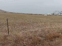 锡林浩特市沃原奶牛场约8000亩打草场整体出租（年租金底价25元/亩，租期一年）(国资监测编号GR2026NM1001991)