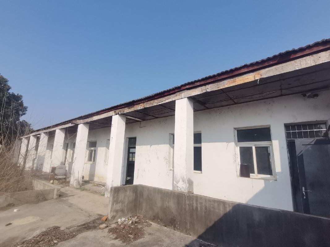 芜湖市湾沚区陶辛镇原芮村小学房屋及场地出租公告