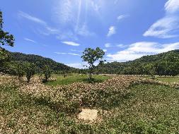 石台县蓬莱仙洞风景区经营权转让公告(国资监测编号GR2026AH2001098)