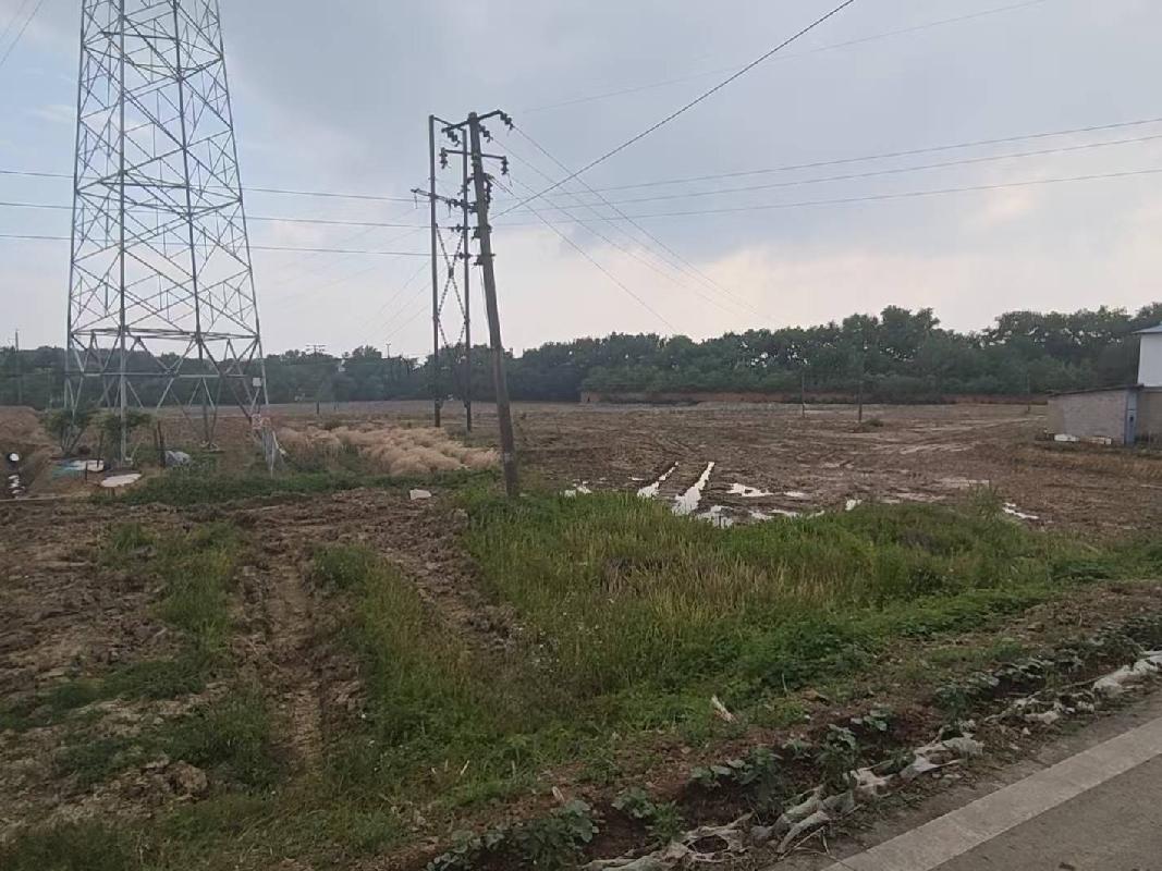 芜湖市弋江区火龙街道火龙村约800亩土地经营权出租公告