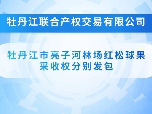 牡丹江市亮子河林场红松球果采收权分别发包交易公告