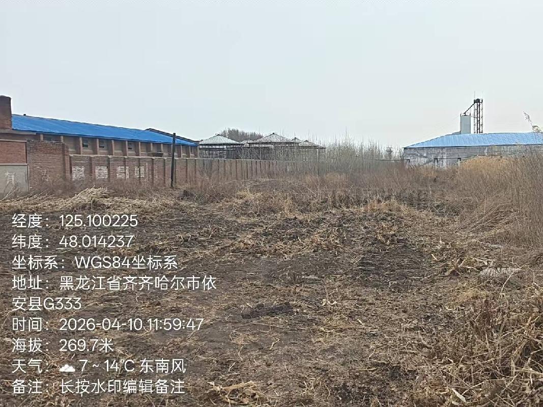 齐齐哈尔市依安县先锋粮库有限公司1处闲置荒地出租项目交易公告(国资监测编号GR2026HL2002477)
