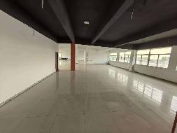 常州市武进区嘉泽镇环镇路东侧嘉发科技园1号楼4楼房产招租公告(国资监测编号GR2026JS2001915)