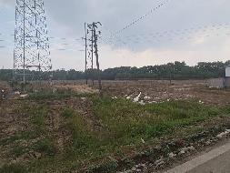 芜湖市弋江区火龙街道火龙村约800亩土地经营权出租公告