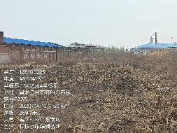 齐齐哈尔市依安县先锋粮库有限公司1处闲置荒地出租项目交易公告(国资监测编号GR2026HL2002477)