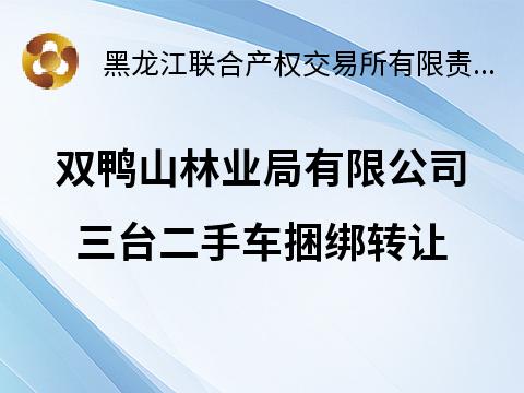 双鸭山林业局有限公司三台二手车捆绑转让交易公告(国资监测编号GR2026HL2002481)