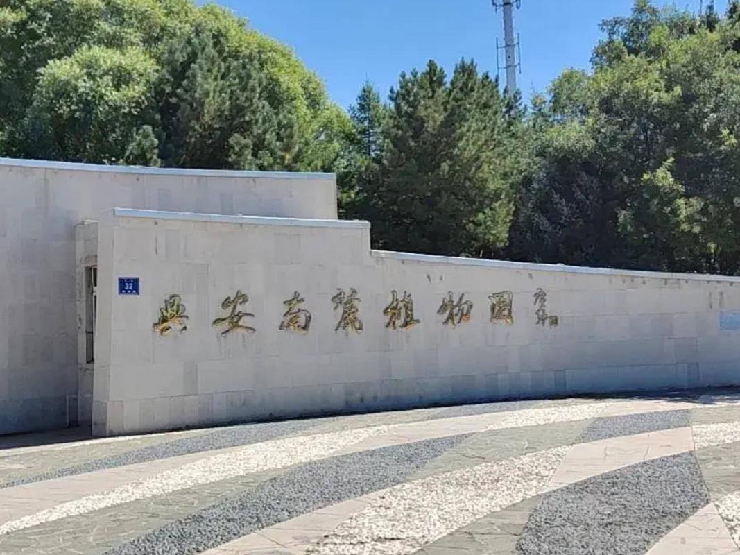 内蒙古自治区赤峰市新城区兴安南麓植物园茶室出租（租金底价29565.00元/年，租期5年）(国资监测编号GR2026NM1002185)