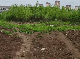 常蒸北地块招租公告