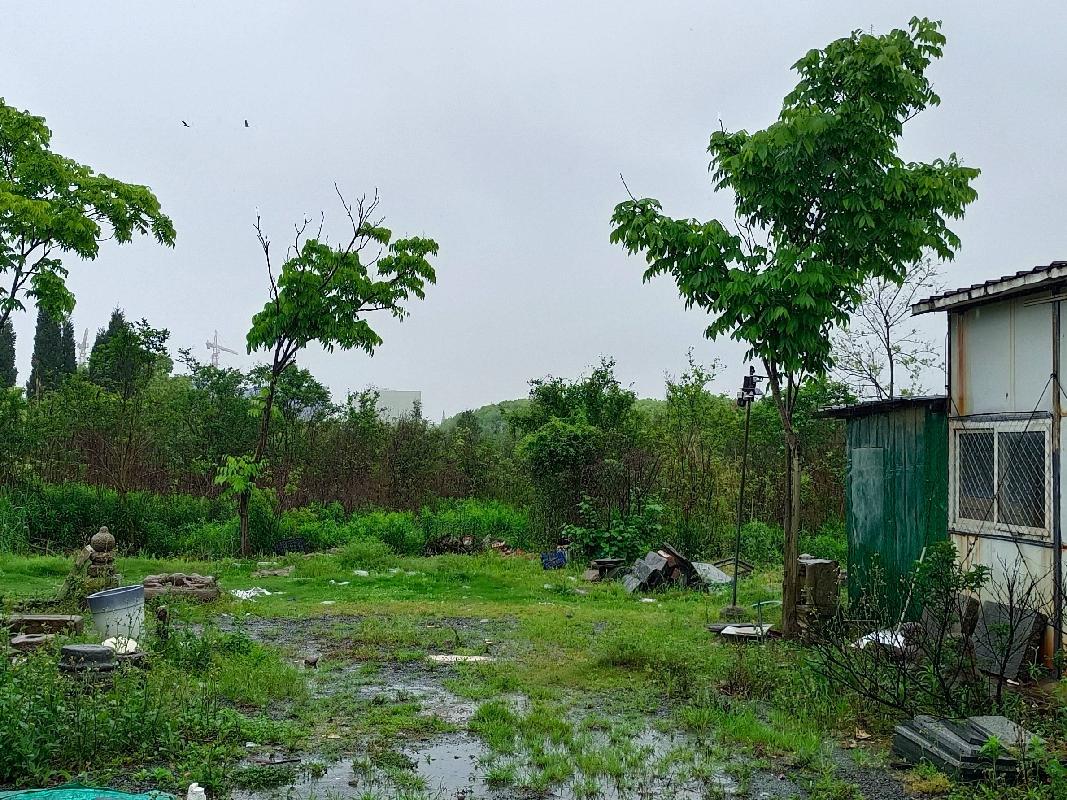 柯城区花园街道新姜村立新自然村南面（原黄泥壳）土地公开挂牌招租