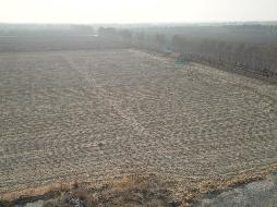 内蒙古自治区通辽市科尔沁区钱家店镇2处土地使用权独立出租（月租金及租期详见附件）