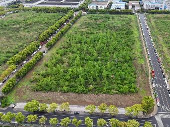 龙虎塘二小东地块招租公告