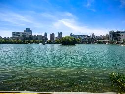 芜湖市镜湖公园水面游乐项目五年期水面经营权出租公告(国资监测编号GR2026AH2001194)