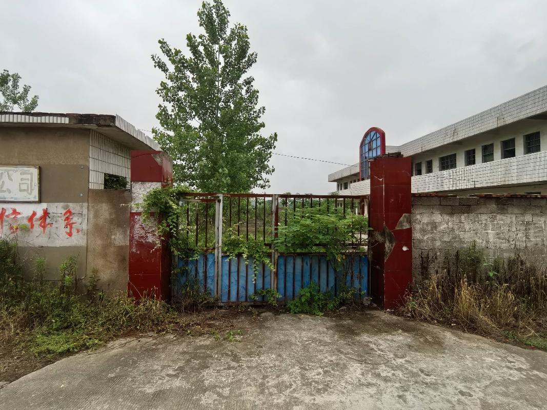 无为市高沟镇健全村原肖楼小学房屋及场地出租公告