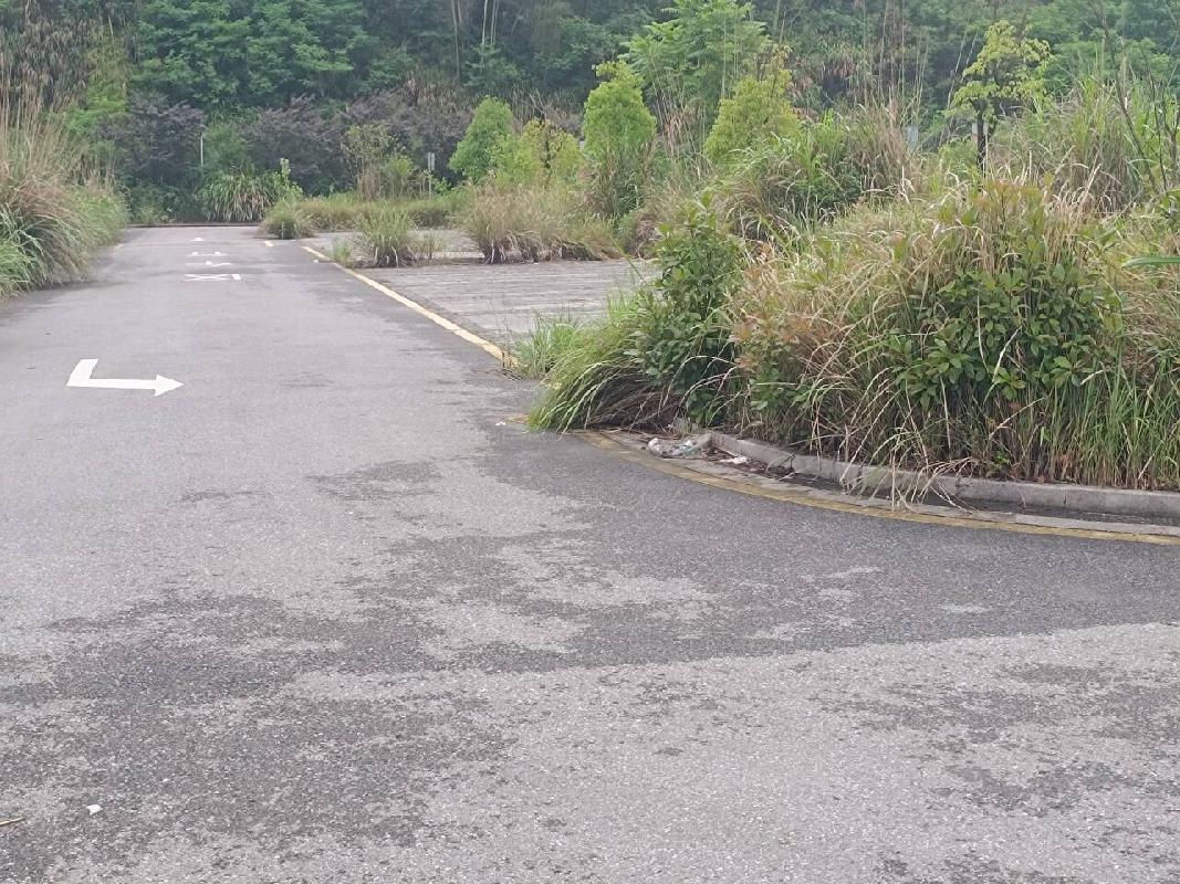 池州市贵池区墩上街道办事处墩上社区约6,101.24平方米公路用地土地使用权出租公告(国资监测编号GR2026AH2001250)
