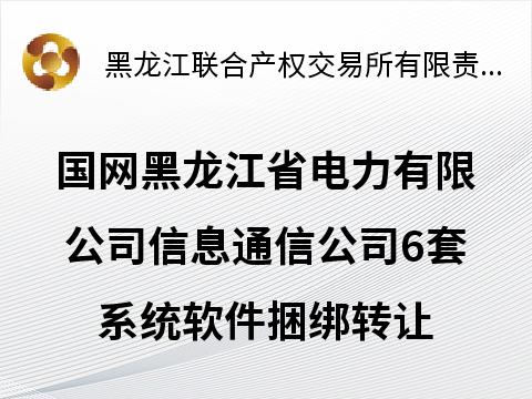 国网黑龙江省电力有限公司信息通信公司6套系统软件捆绑转让交易公告