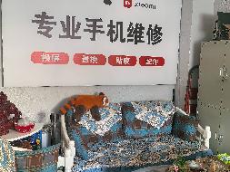 呼和浩特民族学院5号公寓楼1楼4号房产招租（年租金底价48150元，租期3年）