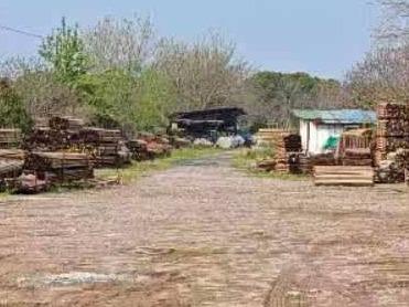 芜湖市鸠江区官陡街道汀孟社区水库荒地约7亩土地经营权出租公告