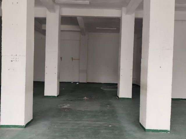 洪泽区湖畔新城10号商铺招租公告