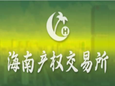 海南商报掌政通传媒集团有限公司51%股权转让(国资监测编号G32026HI1000007)