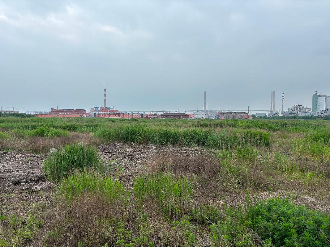 灌南县堆沟化工园区灌河大堤西侧地块国有出让土地使用权转让交易公告(国资监测编号GR2026JS3002095-2)
