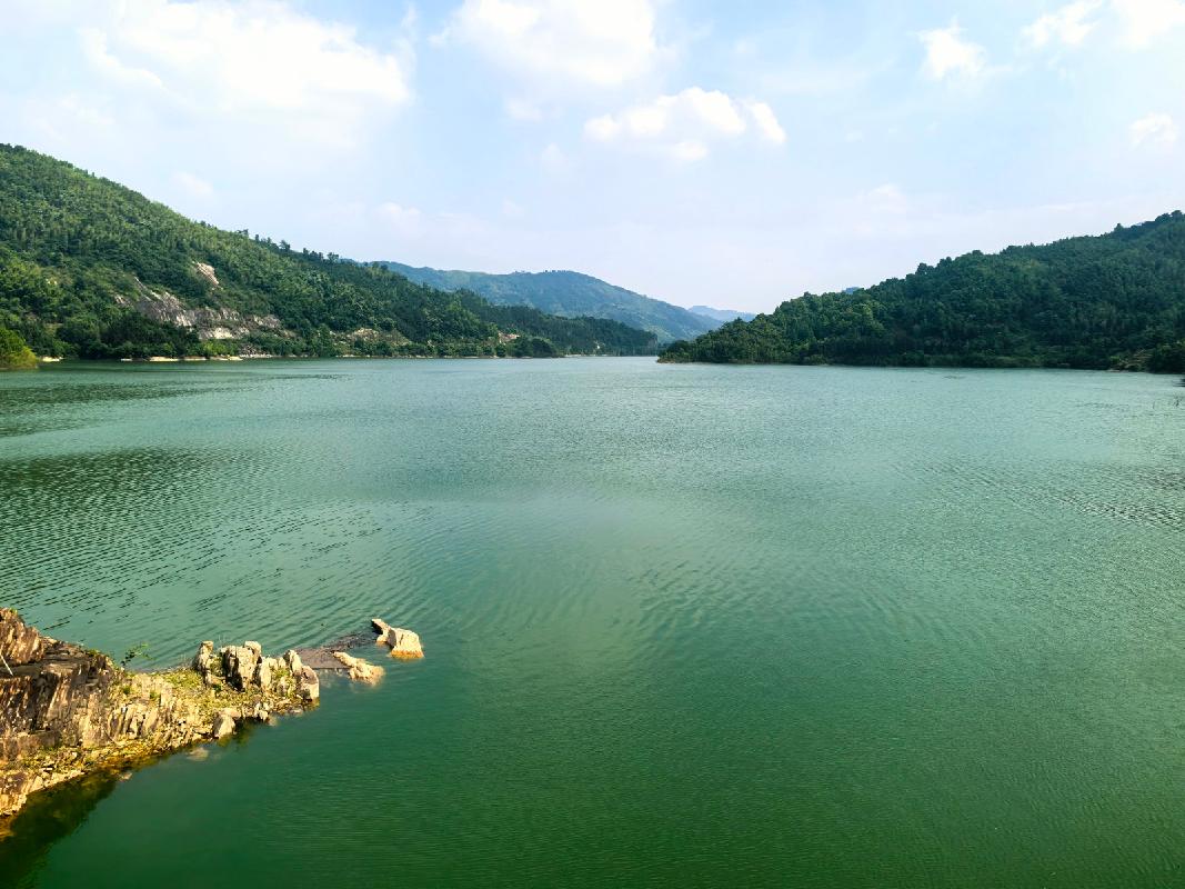 青阳县牛桥水库20年期水生态价值开发经营权转让公告