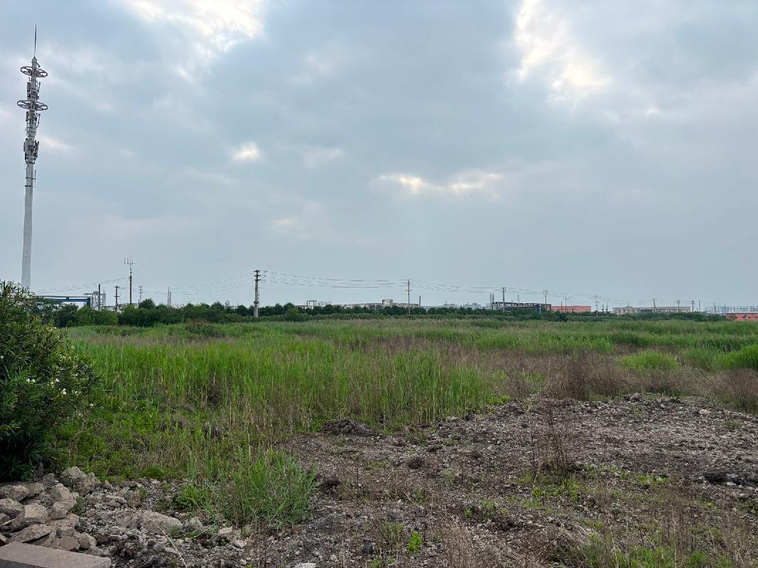 灌南县堆沟化工园区灌河大堤西侧地块国有出让土地使用权转让交易公告(国资监测编号GR2026JS3002095-2)