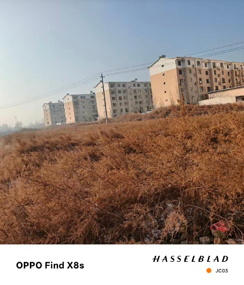 包头市稀土高新技术产业开发区临时储备用地JC03地块出租（年租金底价：39975元/年，租期：2年）（包头稀土高新技术产业开发区资源环境局）(国资监测编号GR2026NM1002346)