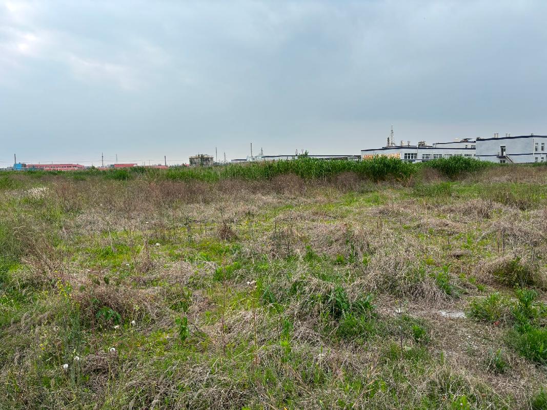 灌南县堆沟化工园区灌河大堤西侧地块国有出让土地使用权转让交易公告(国资监测编号GR2026JS3002095-2)