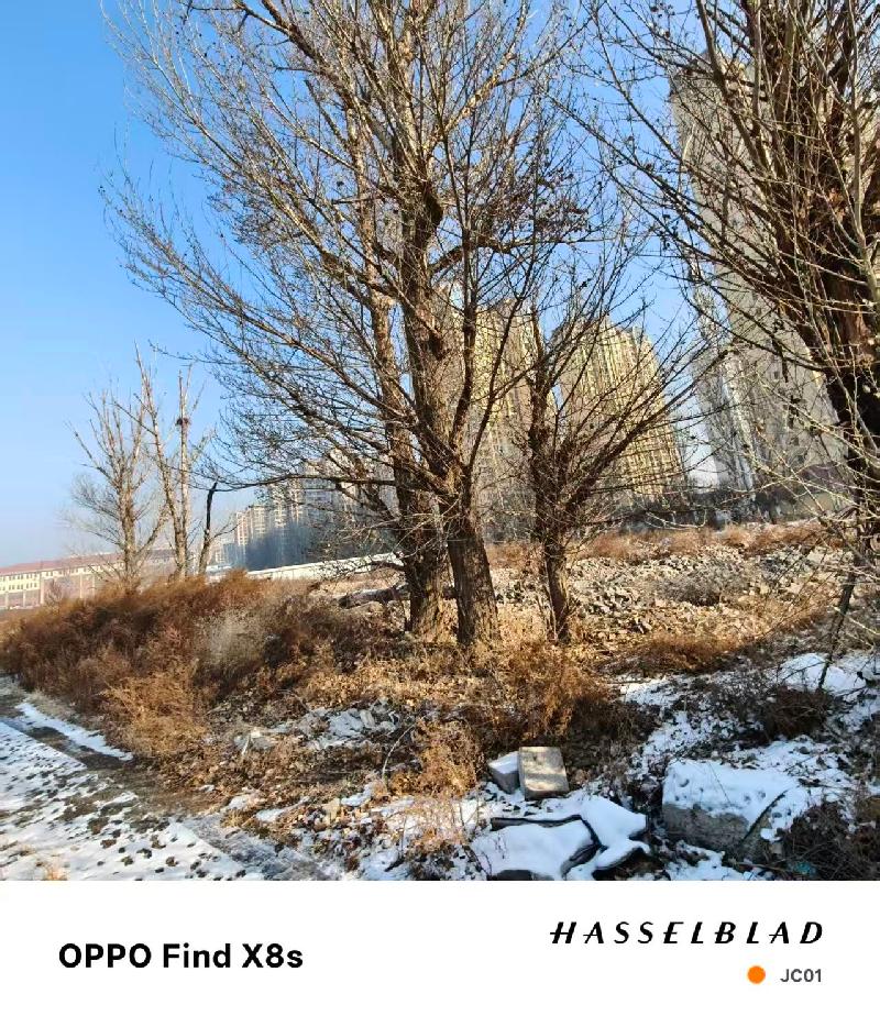 包头市稀土高新技术产业开发区临时储备用地JC01地块出租（年租金底价：94362元/年，租期：2年）（包头稀土高新技术产业开发区资源环境局）(国资监测编号GR2026NM1002344)