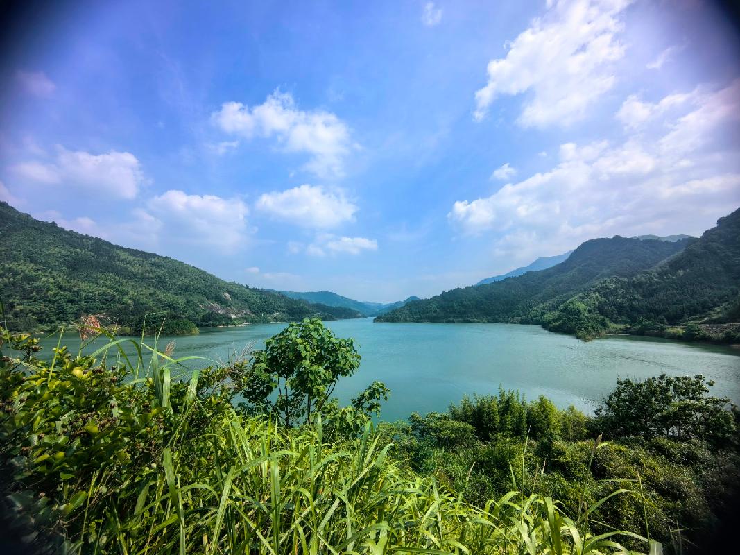 青阳县牛桥水库20年期水生态价值开发经营权转让公告(国资监测编号GR2026AH2001332)