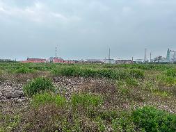 灌南县堆沟化工园区灌河大堤西侧地块国有出让土地使用权转让交易公告(国资监测编号GR2026JS3002095-2)