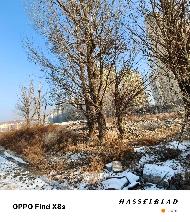 包头市稀土高新技术产业开发区临时储备用地JC01地块出租（年租金底价：94362元/年，租期：2年）（包头稀土高新技术产业开发区资源环境局）(国资监测编号GR2026NM1002344)