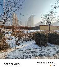 包头市稀土高新技术产业开发区临时储备用地JC01地块出租（年租金底价：94362元/年，租期：2年）（包头稀土高新技术产业开发区资源环境局）(国资监测编号GR2026NM1002344)