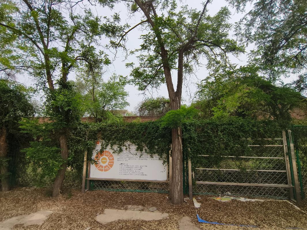 兰州市城关区桃树坪106号场地（原桃树坪小学）租赁公告（第二次）
