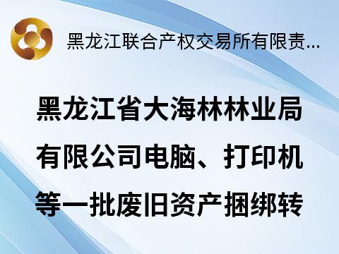 黑龙江省大海林林业局有限公司电脑、打印机等一批废旧资产捆绑转让交易公告