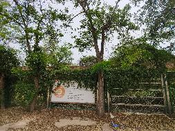兰州市城关区桃树坪106号场地（原桃树坪小学）租赁公告（第二次）