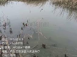 科尔沁右翼中旗巴彦茫哈苏木达力哈日沁嘎查约13000亩水面养殖经营权出租（租期：10年，租金底价：400万元/10年）