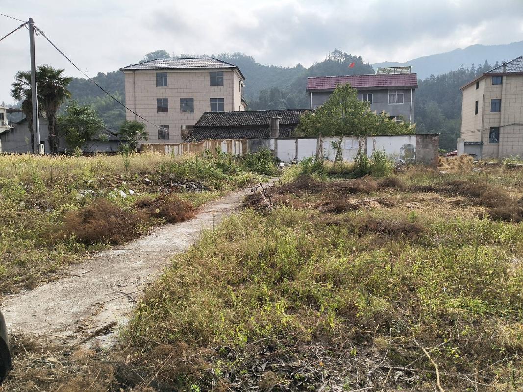 开化县马金镇高坪村原岗背小学（2号地块）宅基地使用权公开挂牌转让