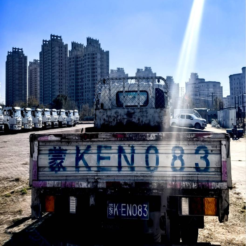 蒙KEN083大运牌轻型栏板货车招租（鄂尔多斯市律艺园林工程有限责任公司）(国资监测编号GR2026NM1002487)