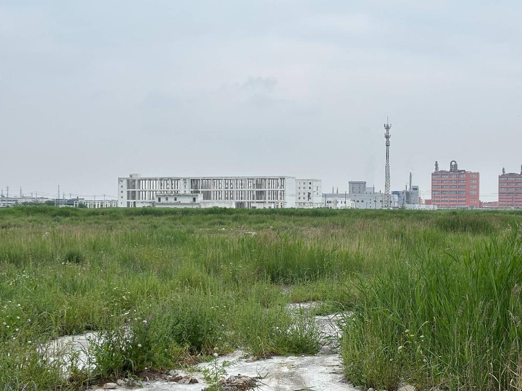 灌南县堆沟港镇黄姚村地块国有出让土地使用权转让交易公告(国资监测编号GR2026JS3002177)