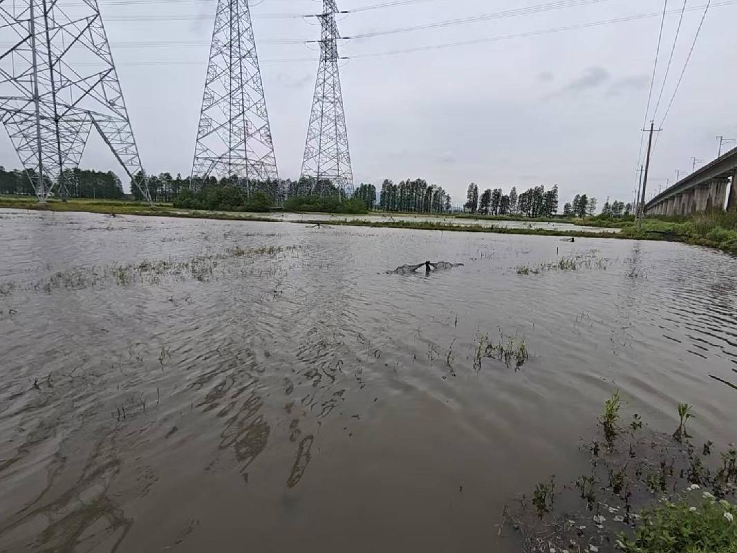 芜湖市弋江区白马街道新大垾村泵站二号、三号、四号约1159.64亩土地经营权出租公告