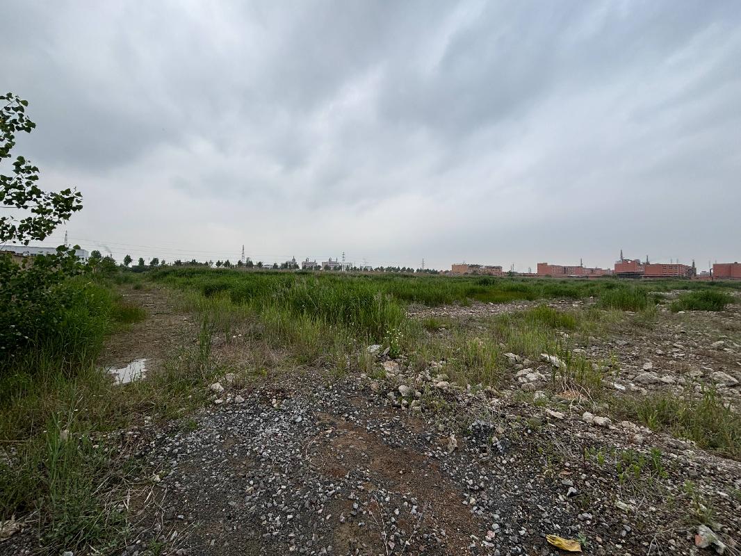 灌南县堆沟港镇化工园新港大道南侧、纬二路北侧地块国有出让土地使用权转让交易公告(国资监测编号GR2026JS3002178)